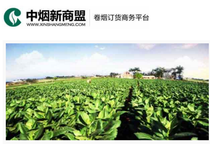 中烟新商盟卷烟订货商务平台-幸运彩500